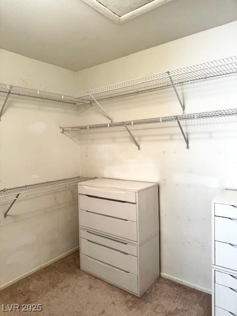 walk in closet featuring light carpet
