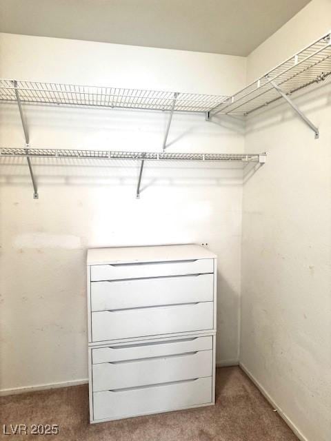 walk in closet with carpet