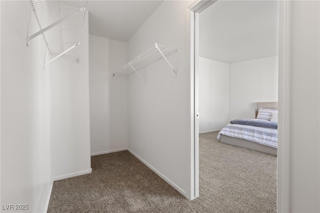 4076 Rocky Beach Dr, Las Vegas, NV 89115 - walk in closet featuring carpet
