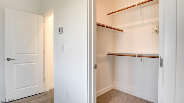 1157 Blossom Point St, Las Vegas, NV 89135 - spacious closet featuring carpet flooring
