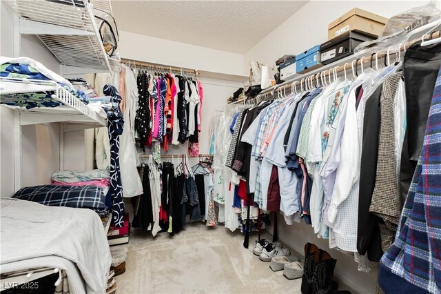 1528 Tonada Way, Las Vegas, NV 89117 - spacious closet featuring carpet floors