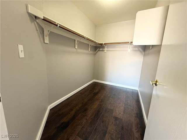 1881 W Alexander Rd Unit 1035, North Las Vegas, NV 89032 - walk in closet featuring dark wood-type flooring