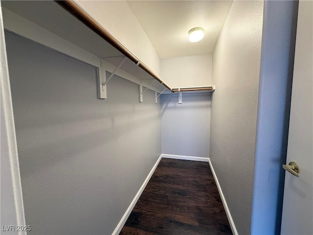 1881 W Alexander Rd Unit 1035, North Las Vegas, NV 89032 - walk in closet featuring dark wood-style floors