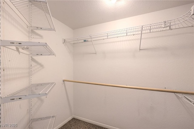 8136 Shady Glen Ave, Las Vegas, NV 89131 - spacious closet featuring carpet floors