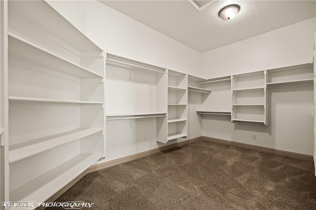 653 Paloma Cir, Mesquite, NV 89027 - walk in closet featuring dark colored carpet