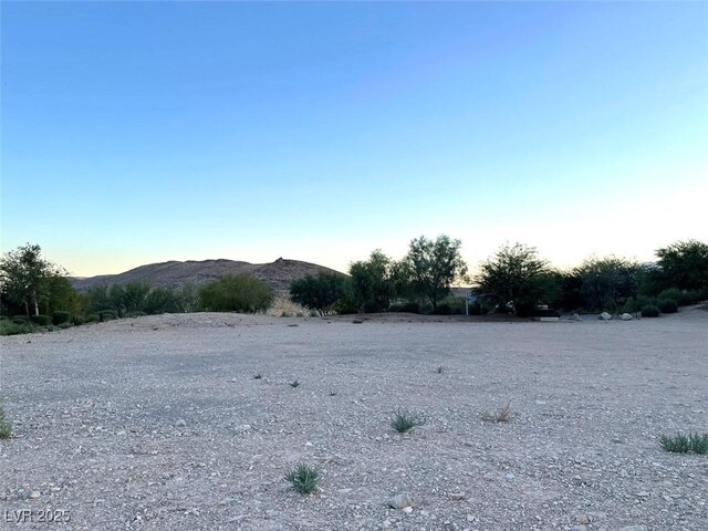 11248 Canyon Pass Dr, Las Vegas, NV 89135 - photo 4