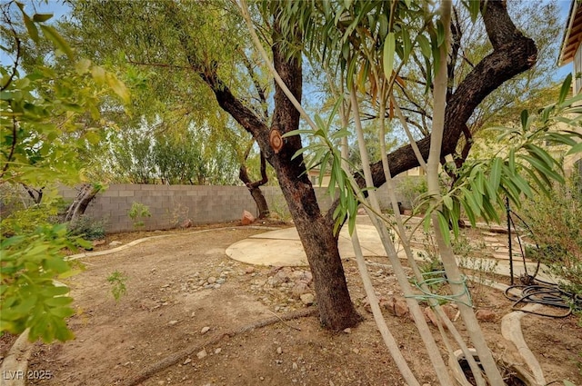 view of yard featuring fence