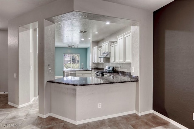 4124 Gliding Gulls Ave, North Las Vegas, NV 89084 - kitchen with appliances with stainless steel finishes, under cabinet range hood, a sink, dark stone countertops, and a textured wall