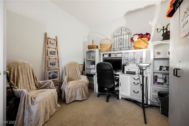 office with carpet flooring