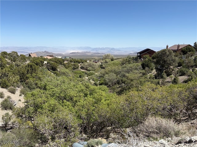 Rudin Dr, Cold Creek, NV 89124