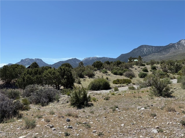 Rudin Dr, Cold Creek, NV 89124