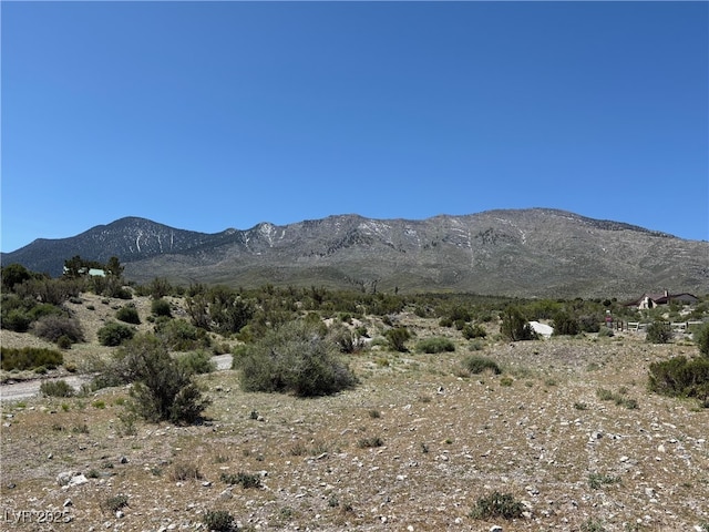 Rudin Dr, Cold Creek, NV 89124