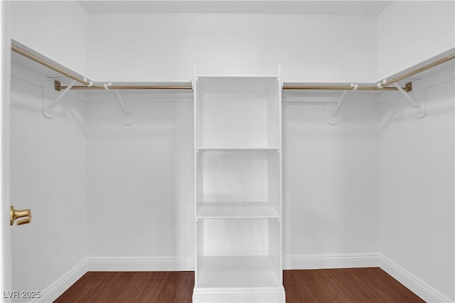walk in closet with wood finished floors