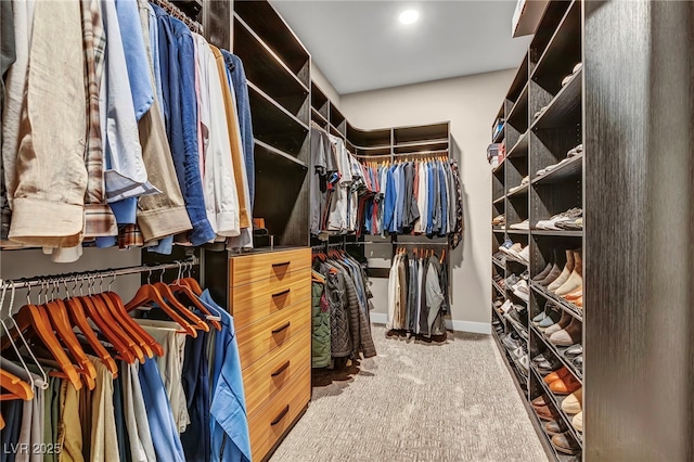 819 Bolide St, Las Vegas, NV 89138 - spacious closet with carpet