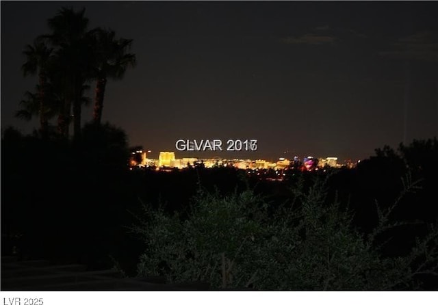 1008 Trophy Hills Dr, Las Vegas, NV 89134 - view of nature at night