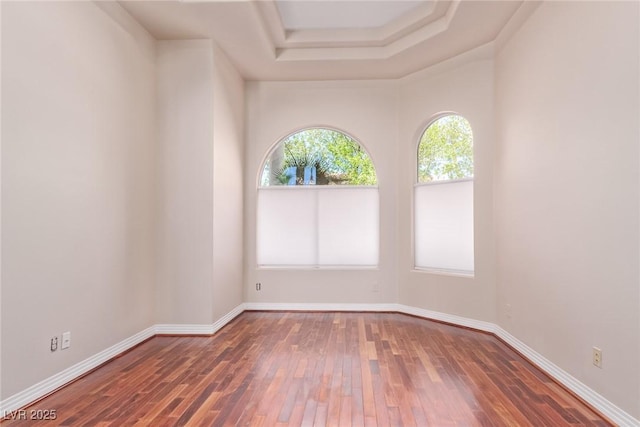 1008 Trophy Hills Dr, Las Vegas, NV 89134 - spare room with a tray ceiling, baseboards, and hardwood / wood-style floors