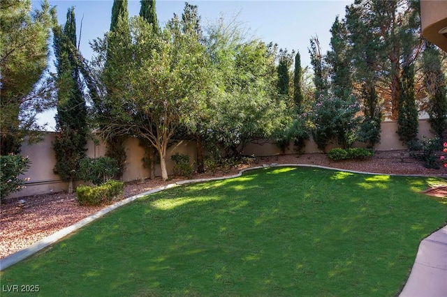 1008 Trophy Hills Dr, Las Vegas, NV 89134 - view of yard with a fenced backyard