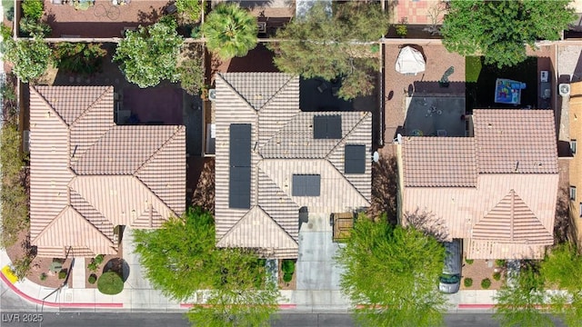 bird's eye view