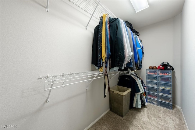 spacious closet with carpet flooring