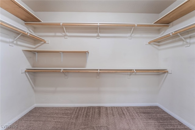 6412 Dimatteo St, Las Vegas, NV 89148 - walk in closet featuring carpet floors