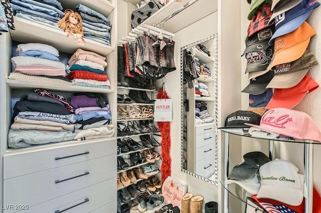 10408 Mezzanino Ct, Las Vegas, NV 89135 - view of spacious closet