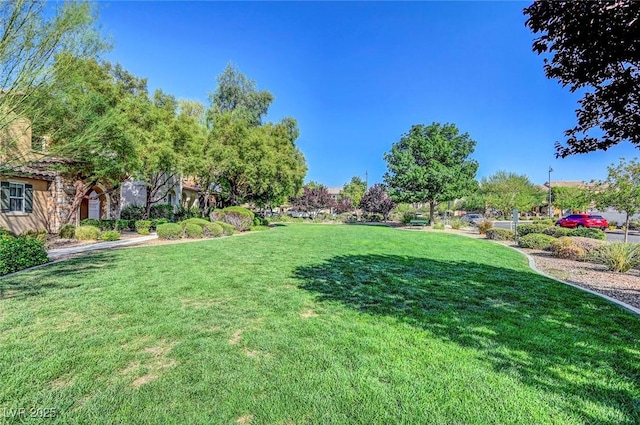 2425 Amatrice St, Henderson, NV 89044 - view of yard