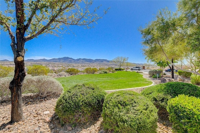 2425 Amatrice St, Henderson, NV 89044 - exterior space with a mountain view