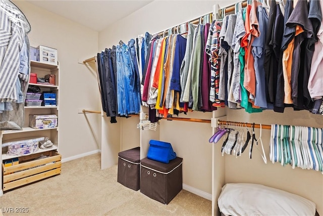 11132 Ferragamo Ct, Las Vegas, NV 89141 - walk in closet with carpet flooring