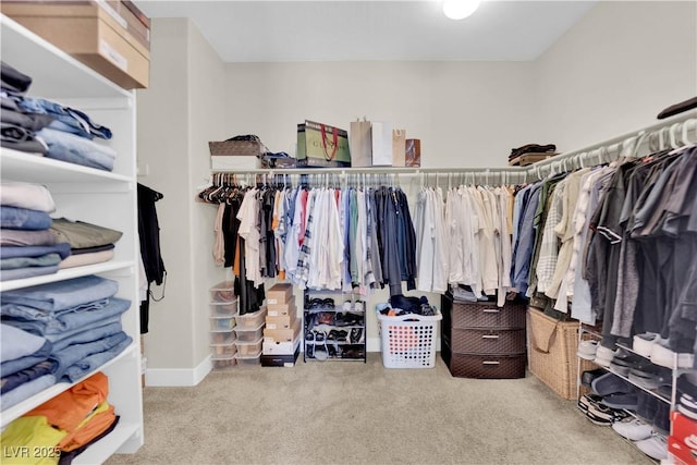 spacious closet featuring carpet floors