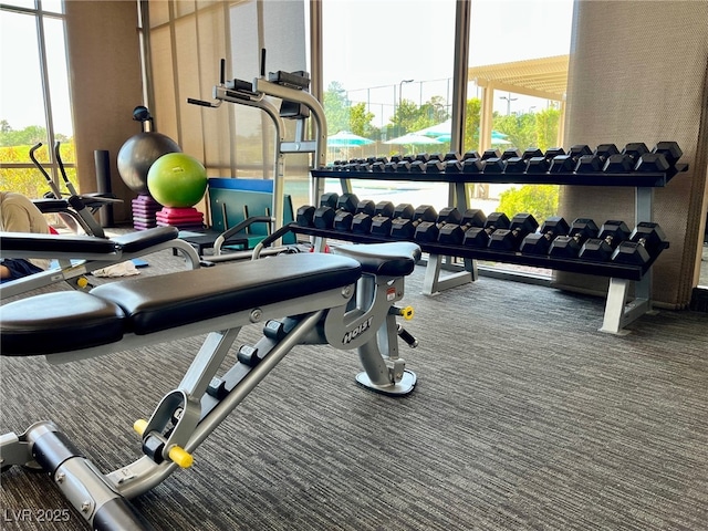 gym with carpet flooring and a healthy amount of sunlight