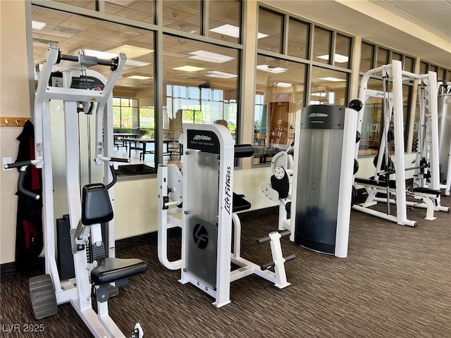 exercise room with carpet floors