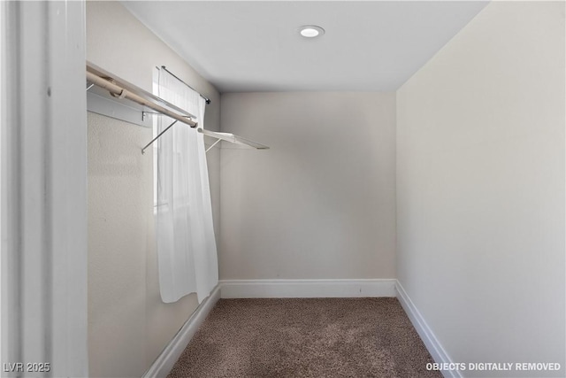 walk in closet with carpet flooring