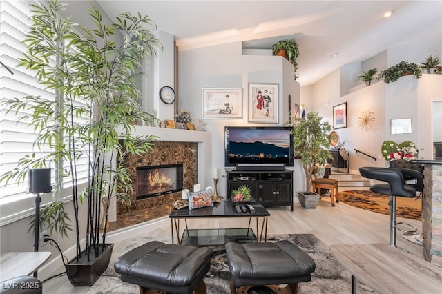 living area featuring a premium fireplace and light wood-type flooring