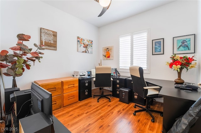 office with light wood finished floors and a ceiling fan