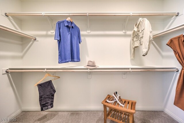 spacious closet with carpet flooring