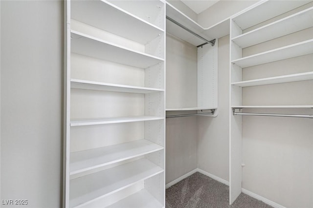 spacious closet with carpet
