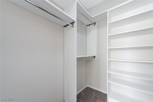 spacious closet featuring carpet flooring