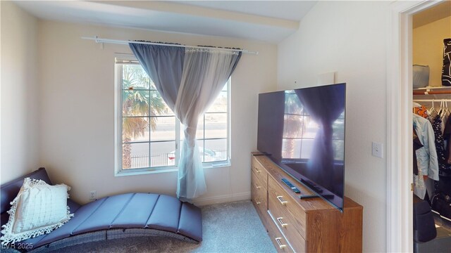 carpeted bedroom with baseboards, a closet, and a walk in closet