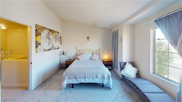 carpeted bedroom with multiple windows
