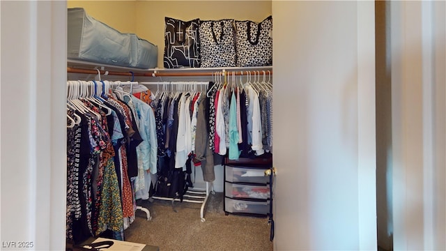 spacious closet featuring carpet flooring
