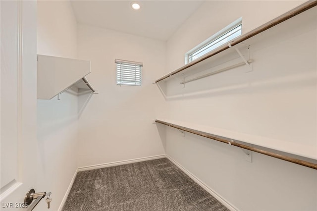 790 Sunny Sagebrush St, Henderson, NV 89011 - spacious closet featuring carpet flooring