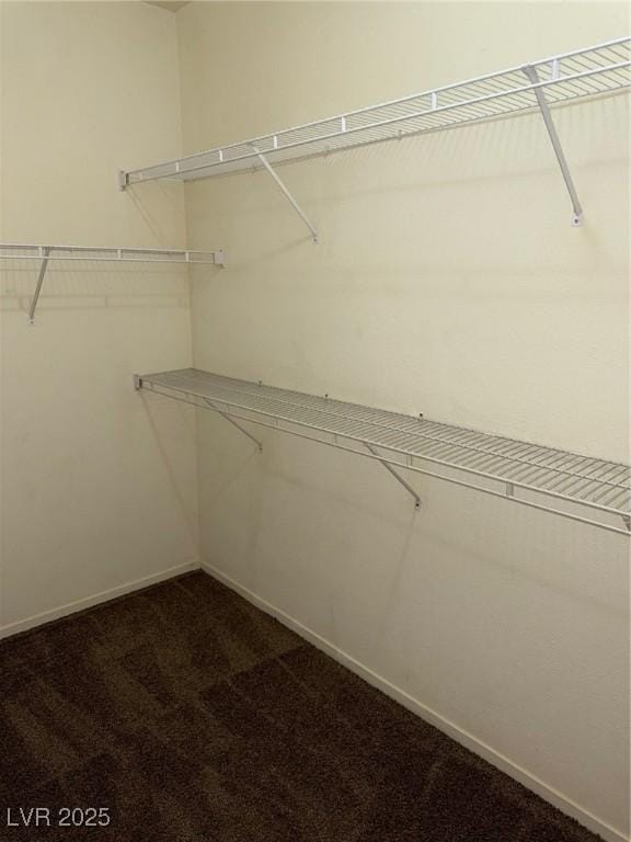 walk in closet with dark carpet