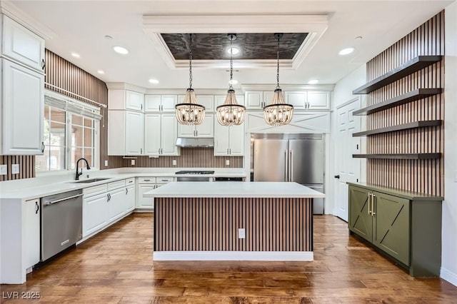 kitchen with a sink, open shelves, under cabinet range hood, a raised ceiling, and appliances with stainless steel finishes