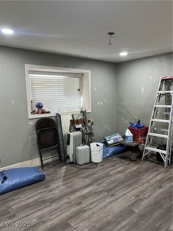interior space with wood finished floors