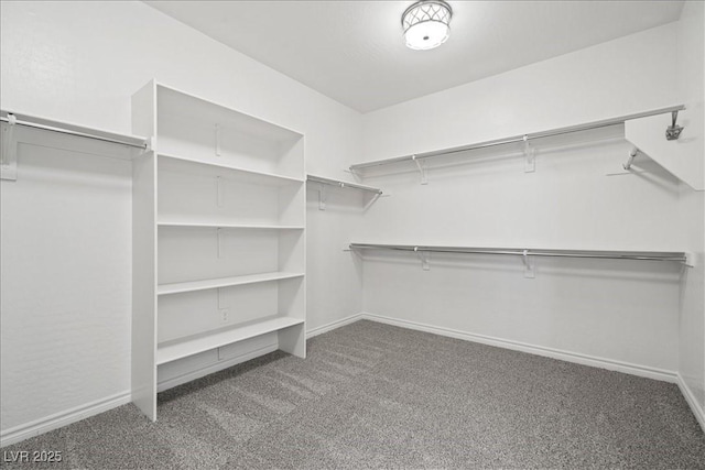 spacious closet with carpet