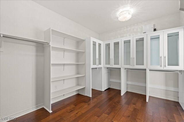 spacious closet featuring dark wood-type flooring