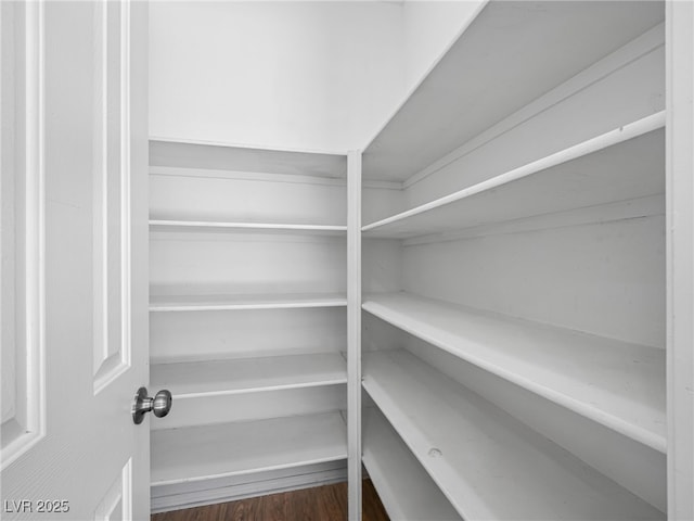 1153 Stormy Valley Rd, Las Vegas, NV 89123 - view of storage area
