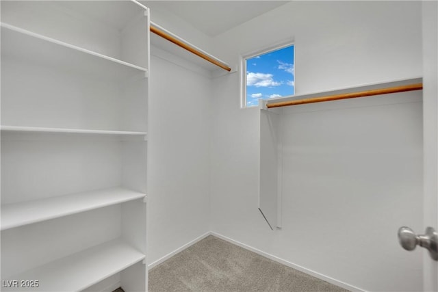 2749 Invermark St, Henderson, NV 89044 - walk in closet featuring carpet flooring