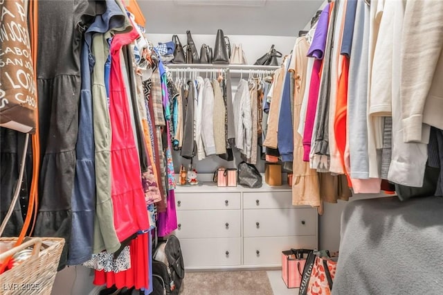 3066 Tarpon Dr Unit 204, Las Vegas, NV 89120 - view of spacious closet