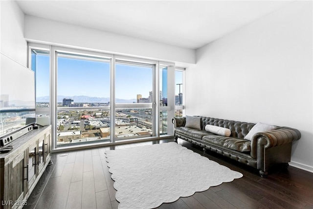 living area with a healthy amount of sunlight, a view of city, dark wood finished floors, and a mountain view
